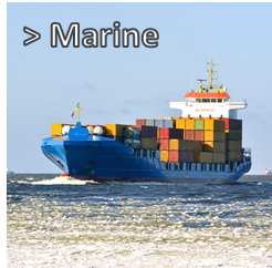 Marine